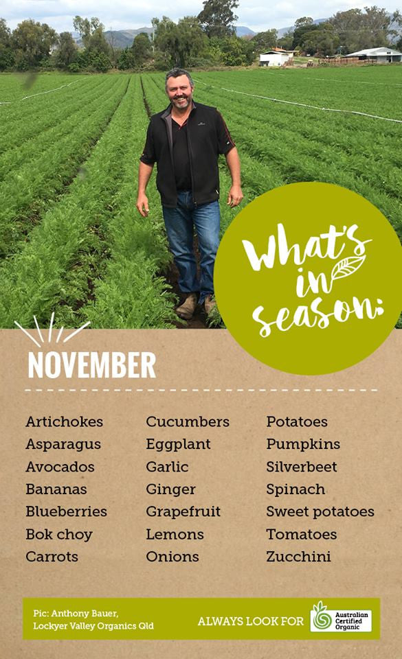 What's in season for November?
