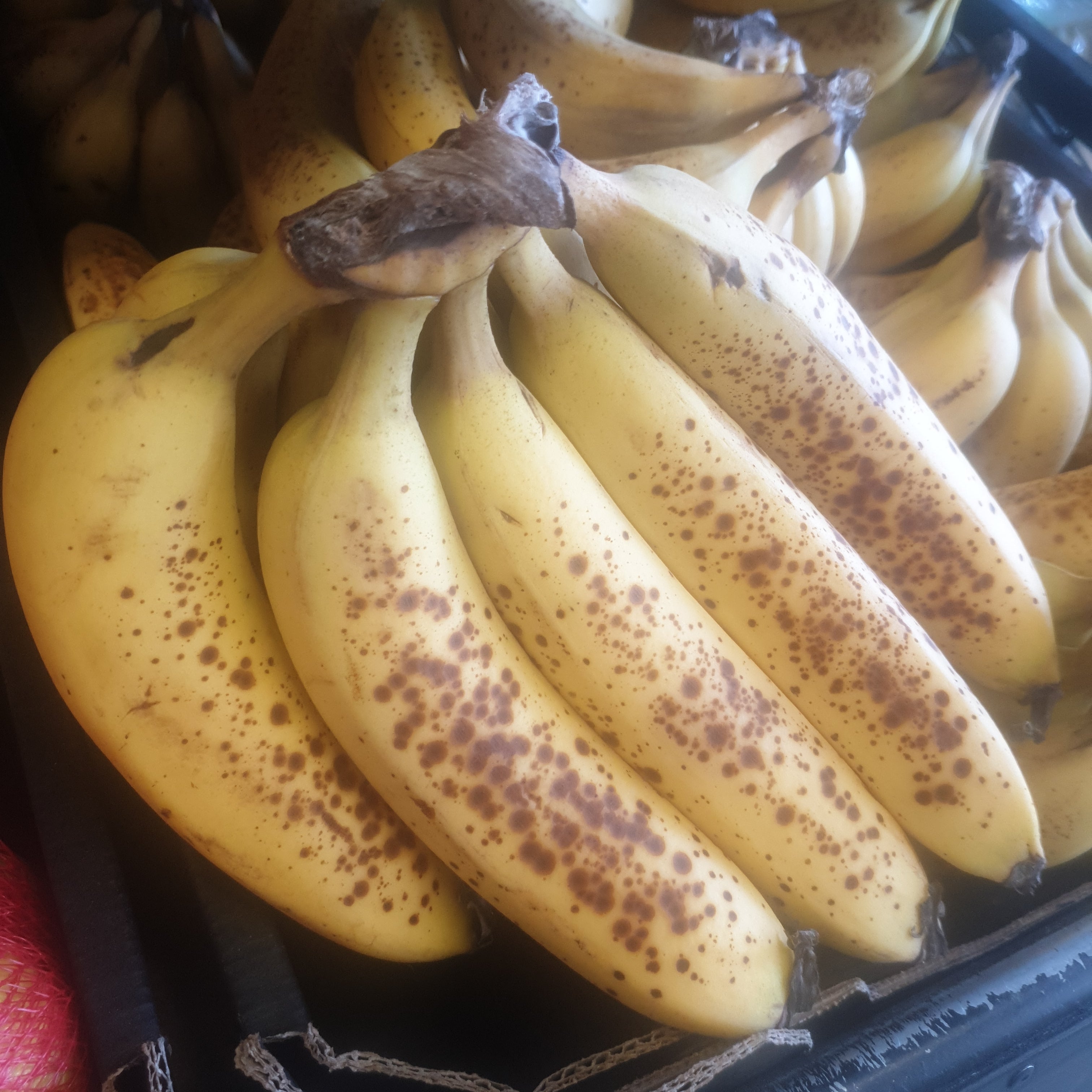 Bananas (Organic) (Ripe)