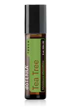 Tea Tree (Melaleuca) Essential Oil. 15ml - Green Mumma