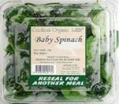 Baby Spinach - (Organic) - Green Mumma