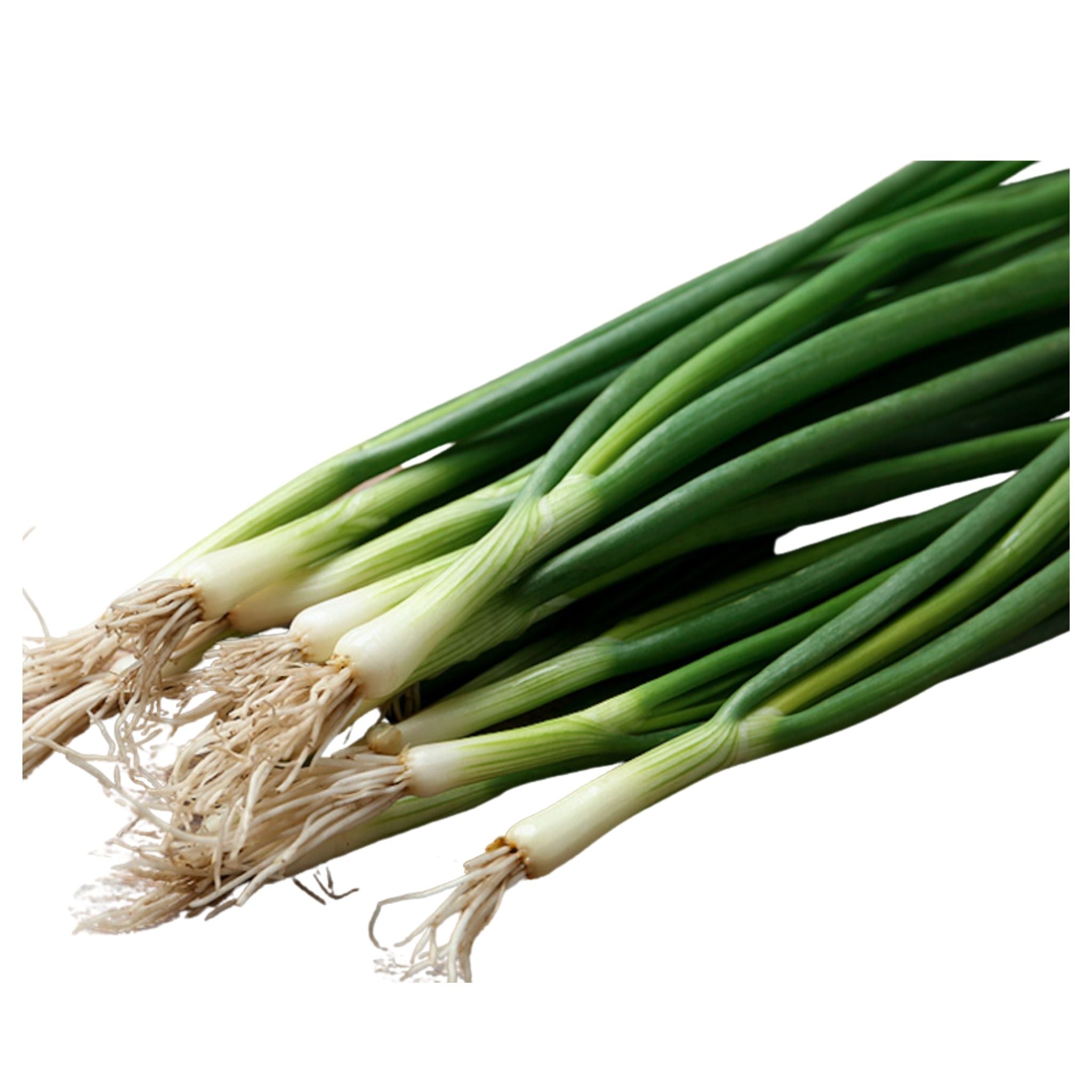 Spring Onion (Organic)