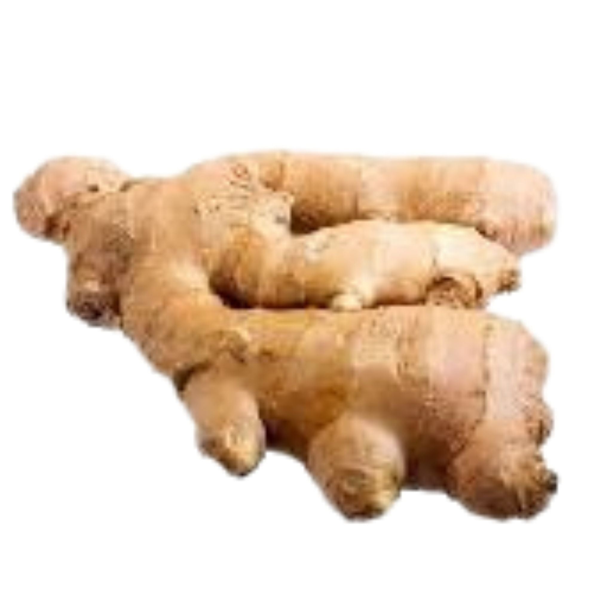 Ginger - Organic