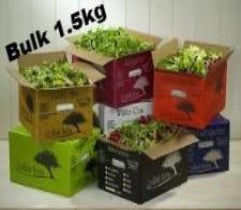 Baby Salad Mix - 1.5kg Box (Organic) - Green Mumma