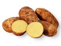 Potatoes - Dutch Cream - (Organic) - Green Mumma