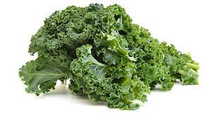 Kale - Green or tuscan (Organic) - Green Mumma