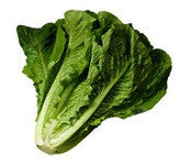 Cos Lettuce  (Organic) - Green Mumma