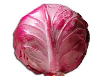 Cabbage Red - (Organic) - Green Mumma